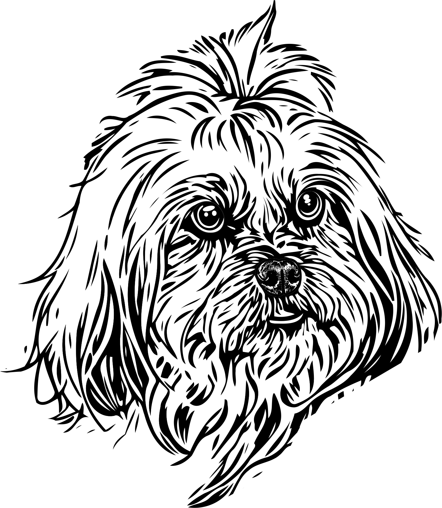 IDVO 5731 KEISHAVarient 1